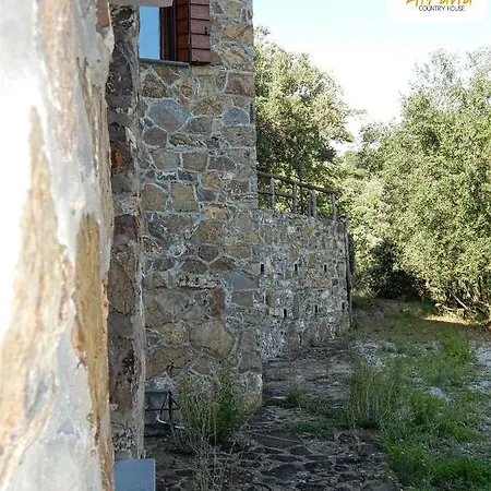 Altana